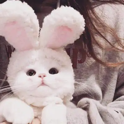 Мысли и Знакомства группа Ватсап