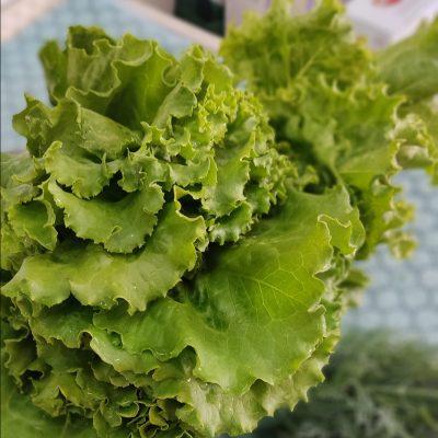 Нутрициология группа Ватсап