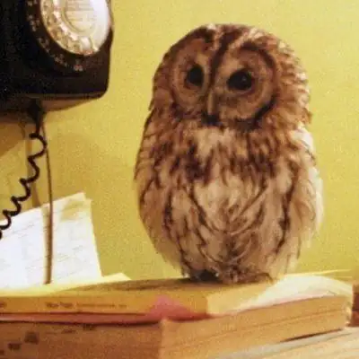 Общалочка группа Ватсап