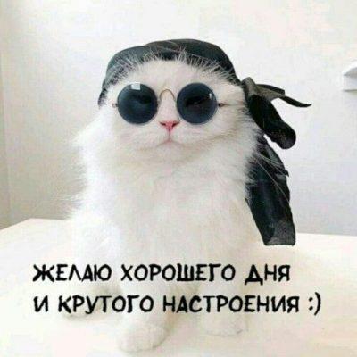 Общение группа Ватсап
