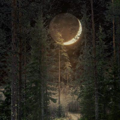 ORoleplayO группа Ватсап