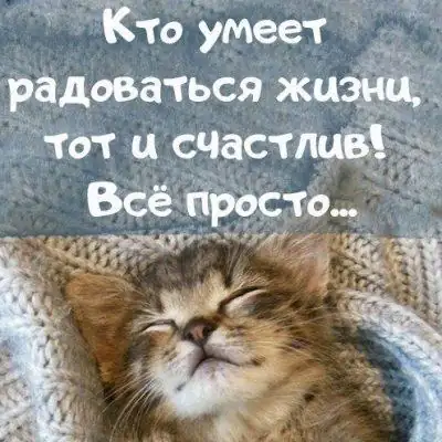 Отшельники группа Ватсап