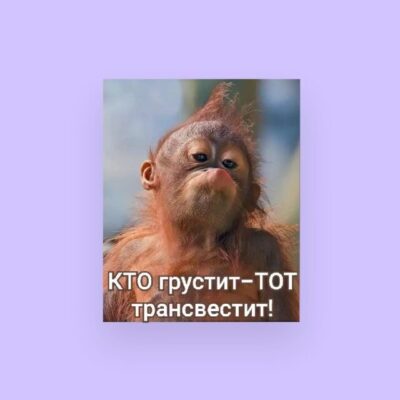 Стикеры группа ватсап
