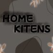 HOME KITENS группа телеграм