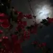 Our Vibe группа телеграм