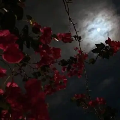 Our Vibe группа телеграм