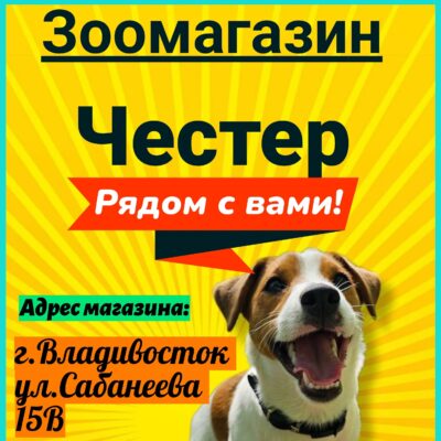 Зоотовары Честер группа ватсап