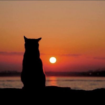 Племя яркого солнца группа Ватсап