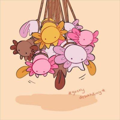 Пони таун группа Ватсап