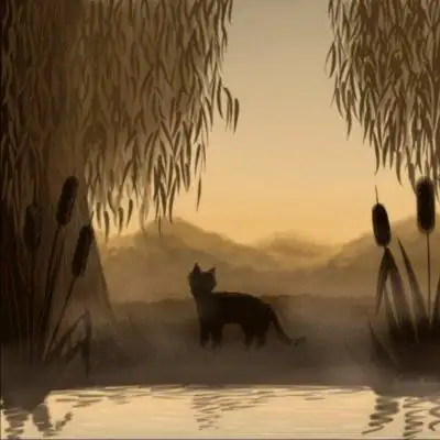 Река Туманов коты воители группа Ватсап