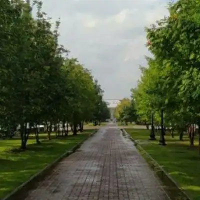 Рисование для всех группа Ватсап