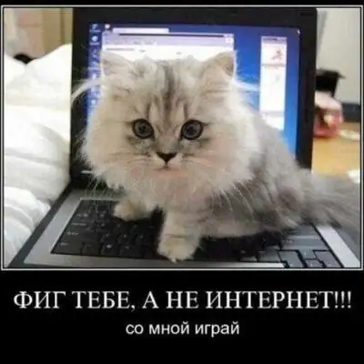 Roleplay группа Ватсап