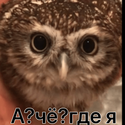 Ролевая игра 13 карт группа Ватсап