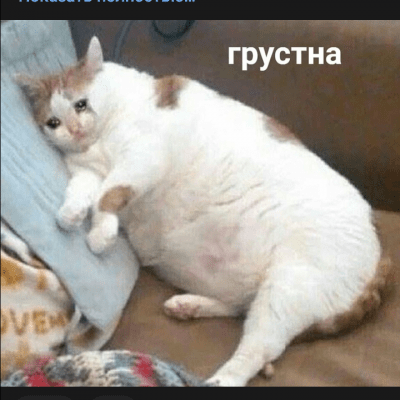 Ролевая игра по всем фендомам группа Ватсап