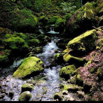 РоЛеВаЯ ИгРа группа Ватсап