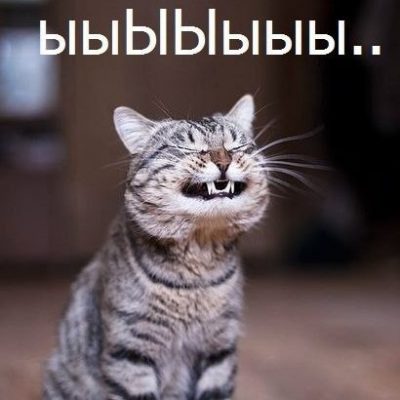 Ролевая по Магическим Котам группа Ватсап