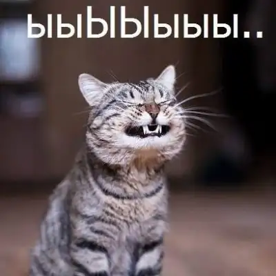 Ролевая по Магическим Котам группа Ватсап