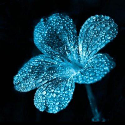 Ролевая группа Ватсап