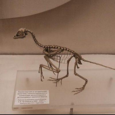 Ролка по 13 карт группа Ватсап