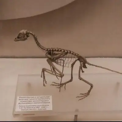 Ролка по 13 карт группа Ватсап