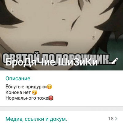 Ролка по бсд группа Ватсап