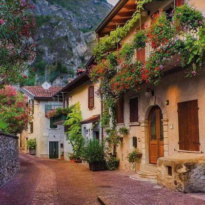 Ролка по своим персам группа Ватсап