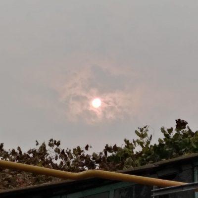 Ролка за стран группа Ватсап