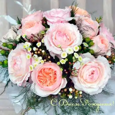 С днем рождения открытка ватсап