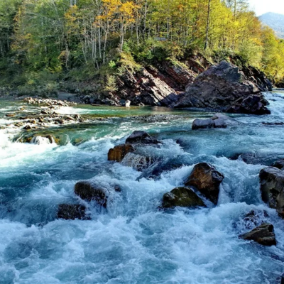 Белая река группа ватсап