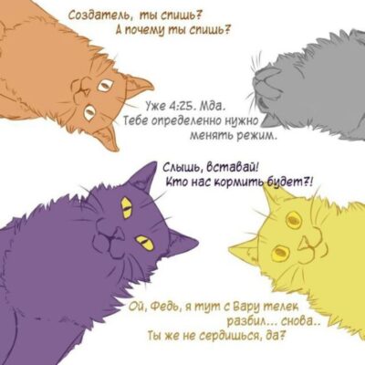 Животные клонов 13 карт группа ватсап