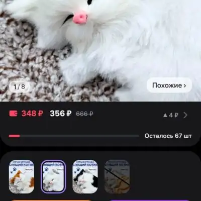 Клан Коссано группа ватсап