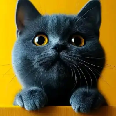 Стикеры группа ватсап