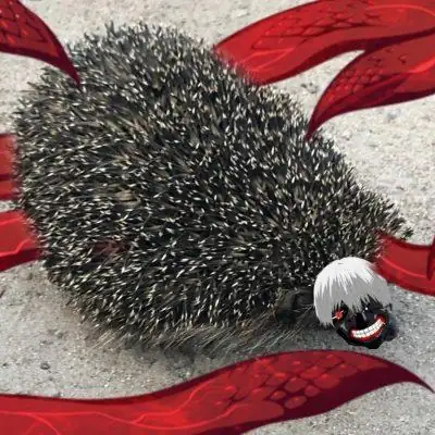 секта скамеров stendOFF 2 группа Ватсап