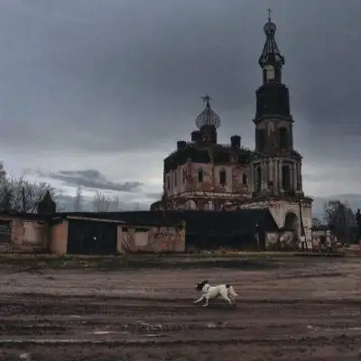 Sityhumans группа Ватсап