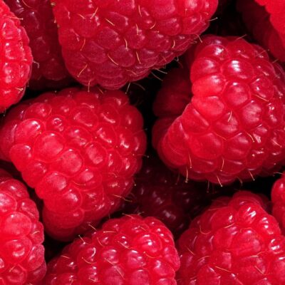 Банда группа ватсап