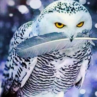 СТИКЕРМЭН группа ватсап