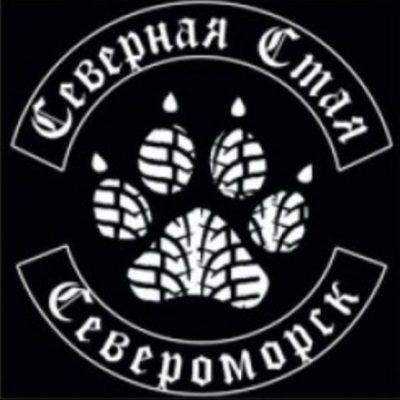 Стая Волков группа Ватсап