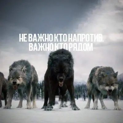 TESTING группа Ватсап