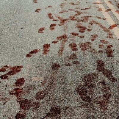 THE ZOMBI APOKALIPSIS группа Ватсап