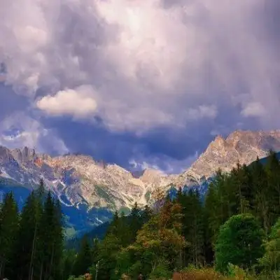 to be or not to be канал Telegram