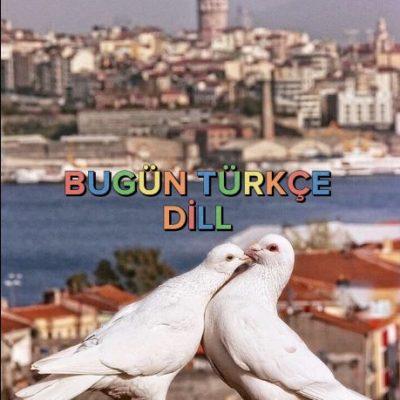 Turkey группа Ватсап