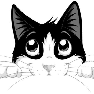 Стикермод группа ватсап