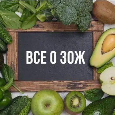 VSYO O ZOZH канал Telegram