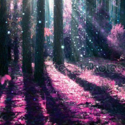 Загадочный лес группа Ватсап