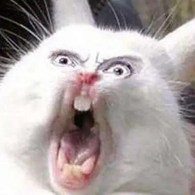 Зайчатки Разума бот Telegram